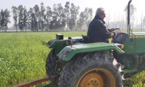 FARMER-1-750x450-1-1-300x180 देखो इस उत्तराखंड के इस किसान ने अपनी गेहूं की फसल बर्बाद क्यों कर दी.....?